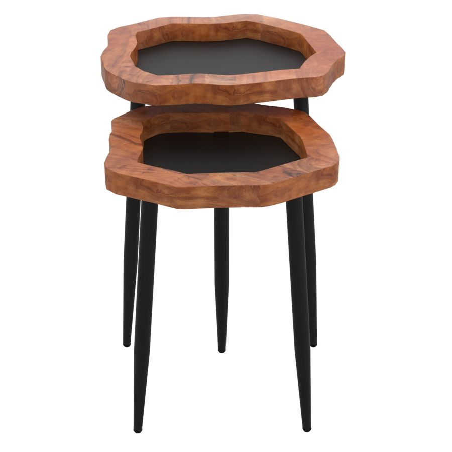 Ensemble de table d'appoint 2 pièces Disha en noir